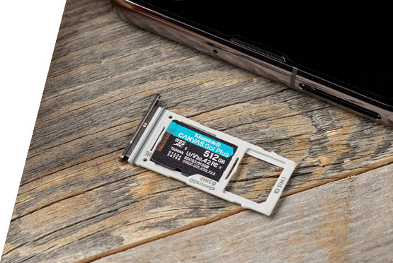 Kingston Canvas Go! Plus microSD kartica 512GB